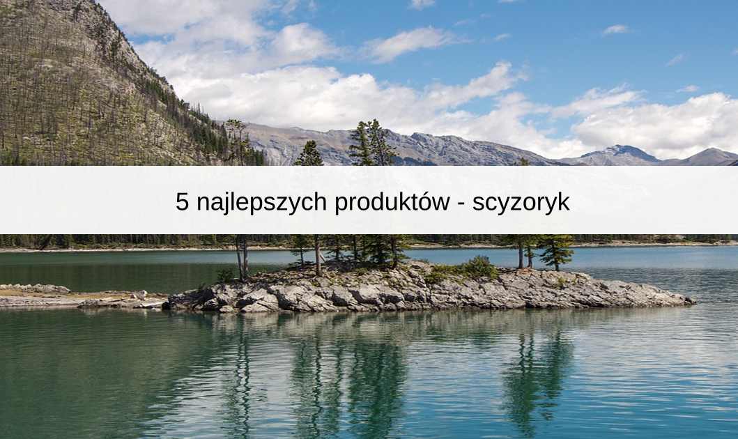 5 najlepszych produktów - scyzoryk