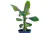 bananowiec musa acuminata dwarf cavendish drzewko
