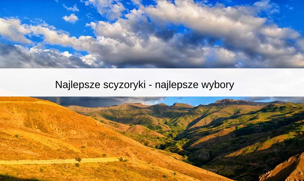 Najlepsze scyzoryki - najlepsze wybory
